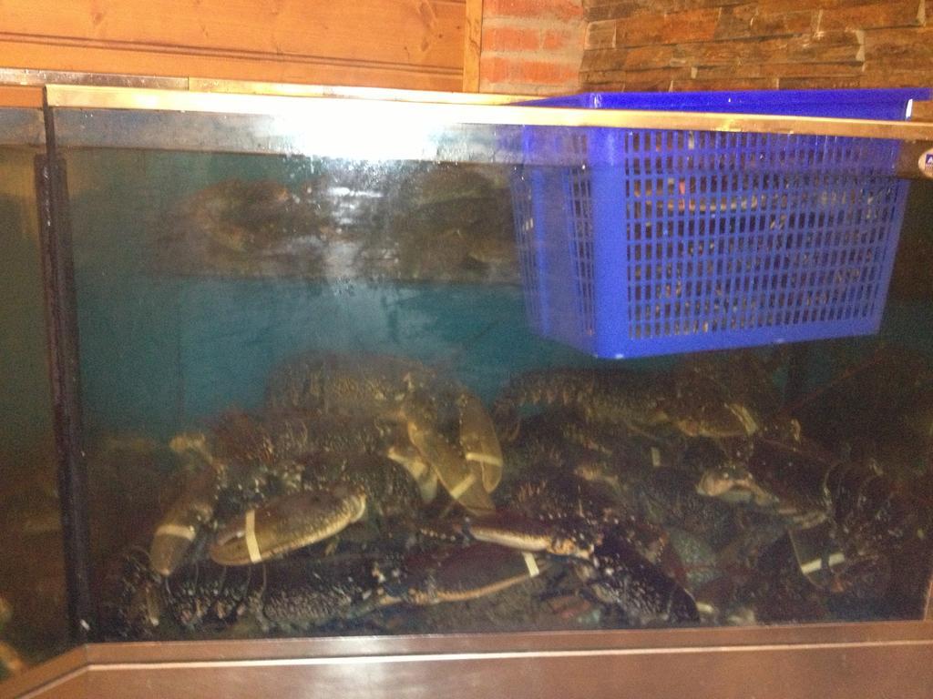 Hosteria San Emeterio Isla Plana Esterno foto